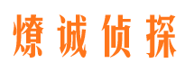 大丰出轨调查